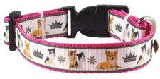 Hundehalsband Chihuahua, XS