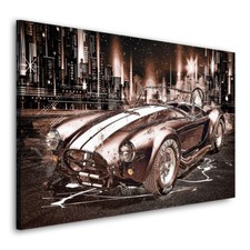 Acrylglasbild cobra - ac,
