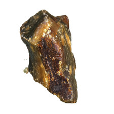 Bernstein Rohbernstein 101