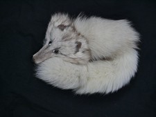 100% FUCHSPELZ Stola Kragen