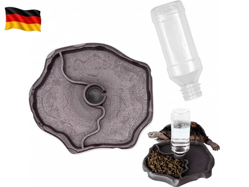 Schildkröten wasserschale - schildkröten,