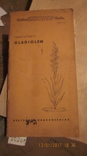 Gladiolen
