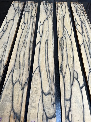 Pale moon ebony saitige - pale,