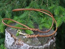 Rundlederleine Führleine aus