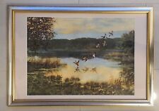 GEORG MAJEWICZ "Enten Flug" Polkowice Polkwitz Schlesien Münchberg Polen / Jagd