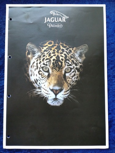 Jaguar daimler programm - jaguar,