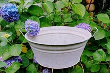 Alte Rarität seltene