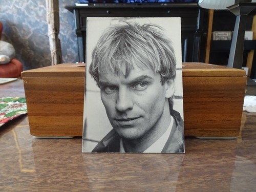 Sting postkarte - sting, ++