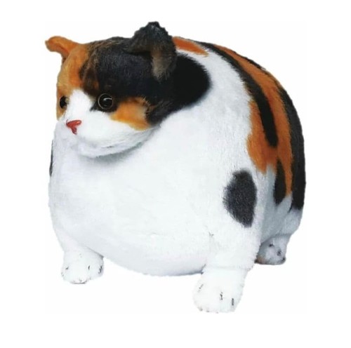 Fette zoo katze plüschtier - katze,
