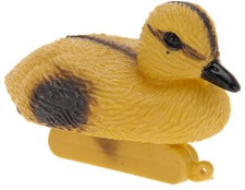 Entenküken ente küken - ente,
