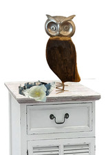 Eule aus edlem Altholz &