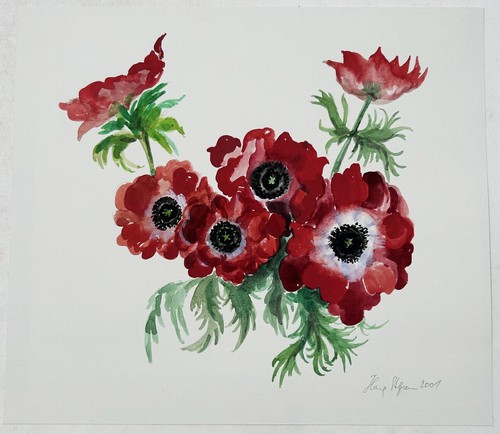 Anemone blumen stillleben - anemone,
