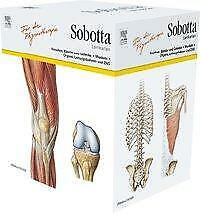 Sobotta Lernkarten für