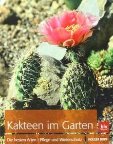 Kakteen meinem garten die - in, garten: