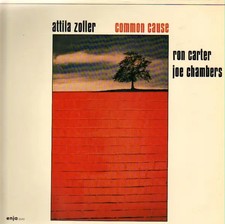 Attila Zoller Common Cause