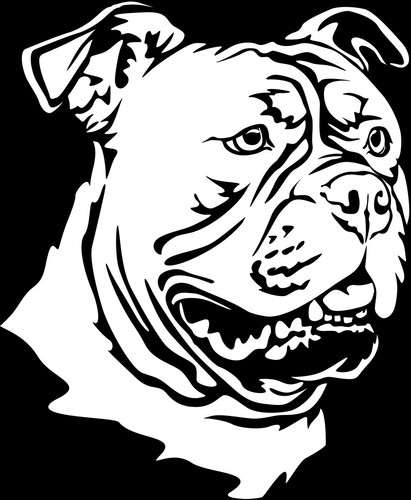 Old english bulldog aufkleber - old,