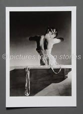 Horst ltd ed photo - horst,
