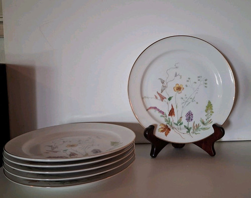 Alte kuchenteller rosenthal - alte,