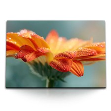 120x80cm Wandbild auf Leinwand