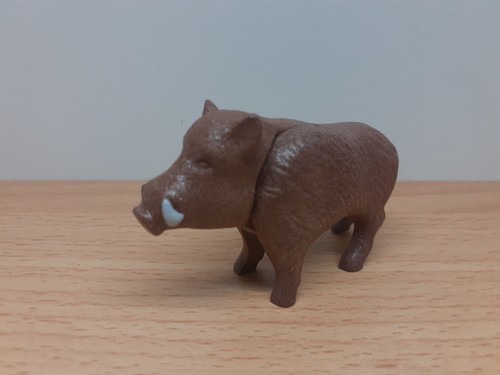 Playmobil zubehör römer - zubehör,