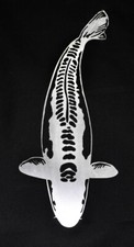 Shusui edelstahl koi - koi, 70cm