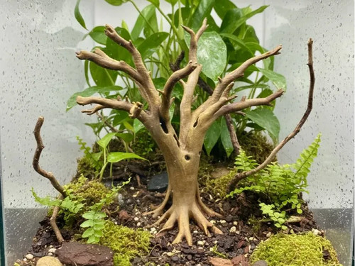 Alter baum bdeko gelände - baum, |