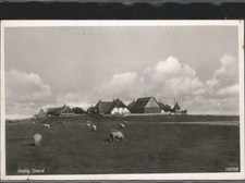 Oland Oland_Hallig 