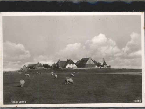 Oland hallig - oland_hallig,