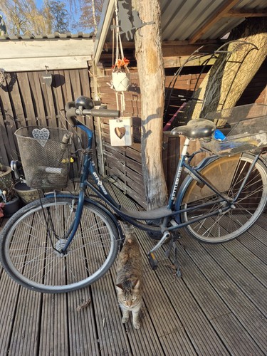 Fahrrad von kettler - fahrrad,