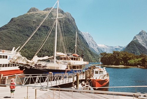 Neuseeland milford sound - milford,