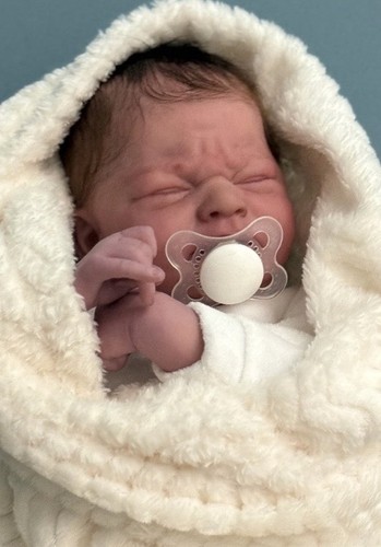 ❤️Reborn-Baby❤️täusch