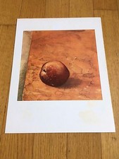 Vito - The Apple Lithography