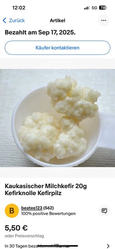 Kaukasische milch kefir pilz - kefir,