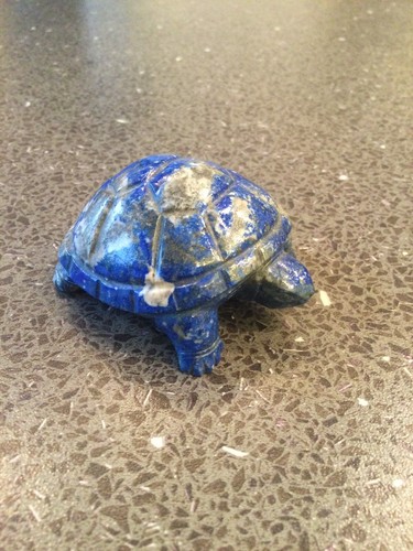 Sodalith schildkröte figur - sodalith,