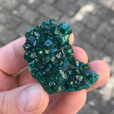 Dioptas xx - Renéville, Kindanba District, Pool Department, Republik Congo