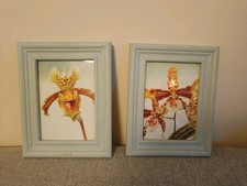 2 Bilderrahmen Shabby Chic 24x19cm Hellblau Holz Holzrahmen Rahmen Fotorahmen