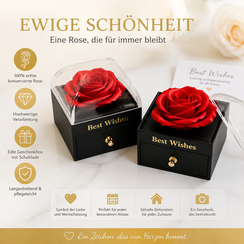 Ewige rose in geschenkbox - rose,