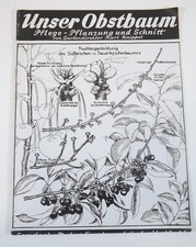 Unser Obstbaum Pflege