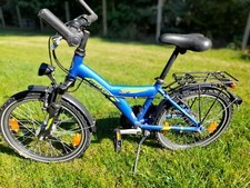 Pegasus Fahrrad für Kinder