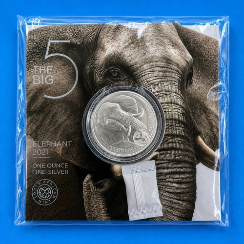 Südafrika big five elefant - five,