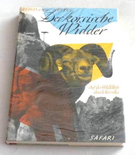 693 der korsische widder auf - korsische,