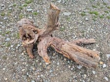 SKULPTUR  Wurzel Stamm Holz  Baum Deko  Unikat 60 cm x 40 cm x 35 cm Terrarium