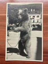 Salzburg | Salzkammergut | St