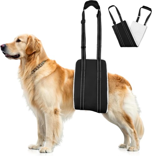 Hunde tragehilfe hund - hunde, hinten