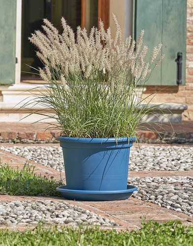 Blumentopf rund farbe - rund,