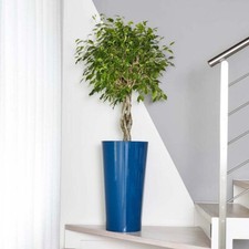 73 cm hoher Blumentopf mit