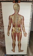 XL Schulwandkarte Lehrtafel