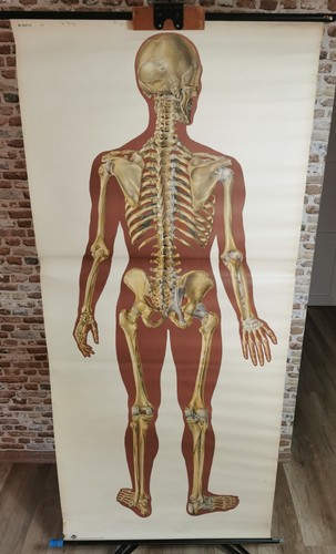 Schulwandkarte lehrtafel - xl,