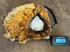 Olivenholz, Olive, zum