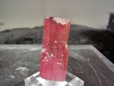 Roter Turmalin  - Agua Branca-Mine - Brasilien